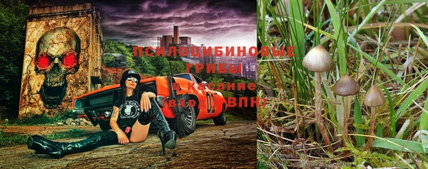 бутират Алексин
