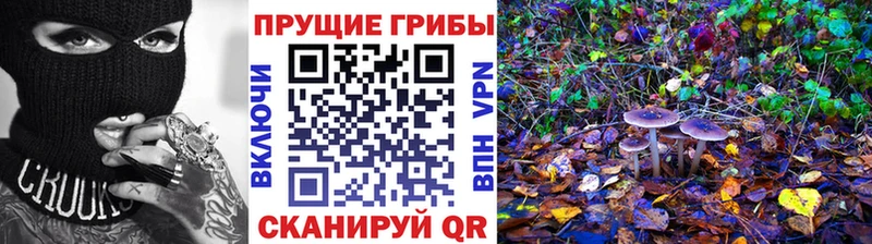 Галлюциногенные грибы Magic Shrooms Западная Двина